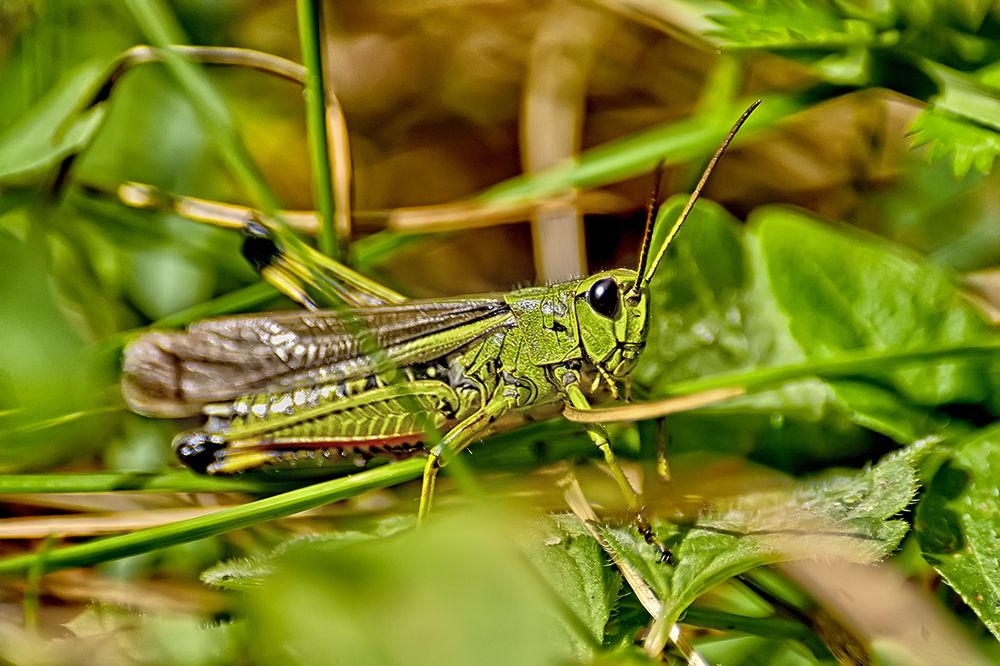Фотография автора Игорь Иванов