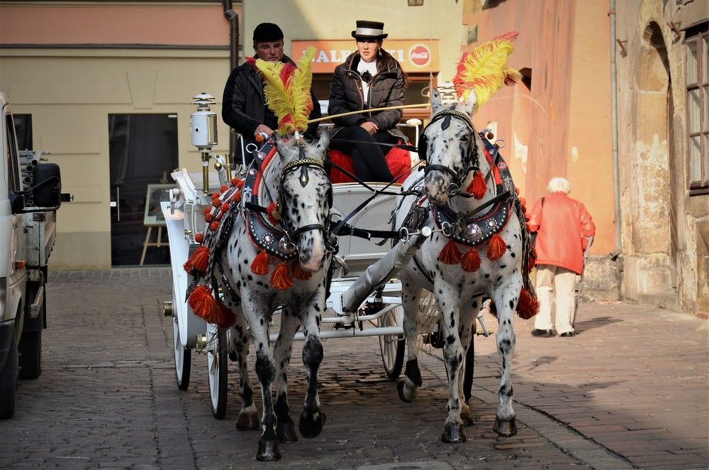 У Королевского замока  на Вавеле. Краков Польша.
