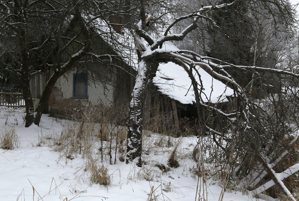 Старенький домик