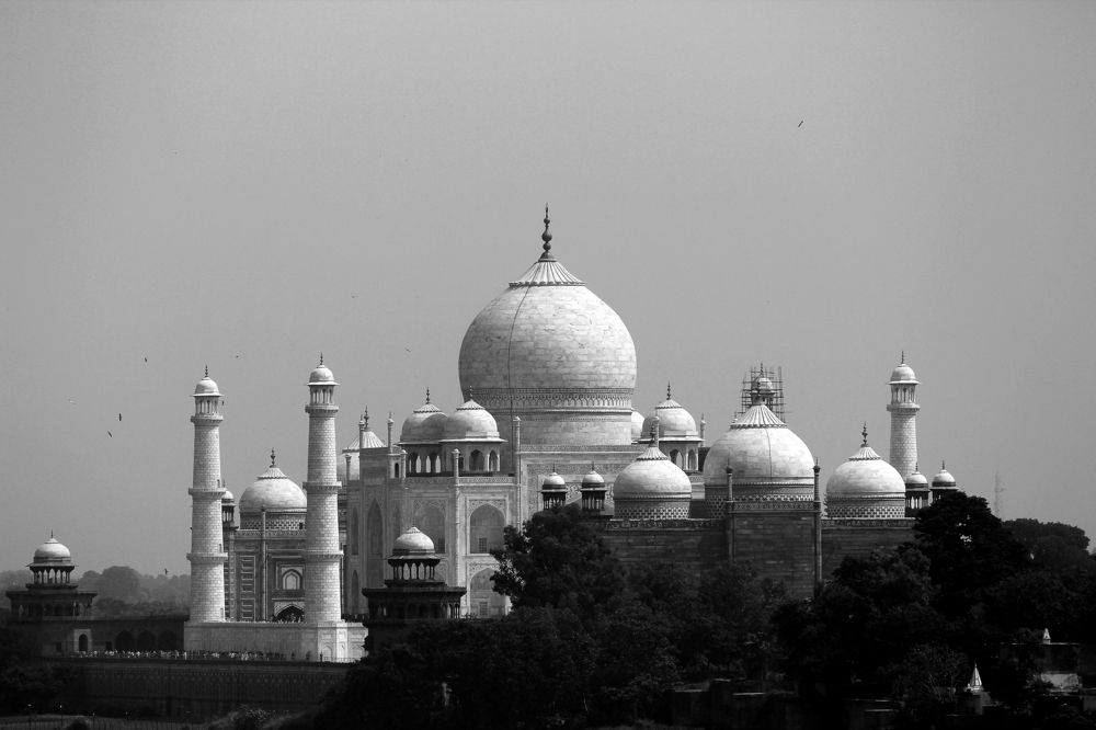 Taj