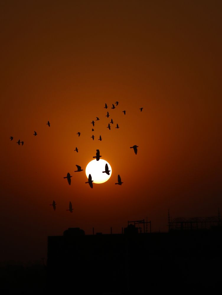 Evening
