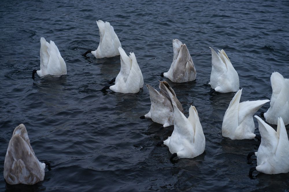 Раз два три потонули корабли