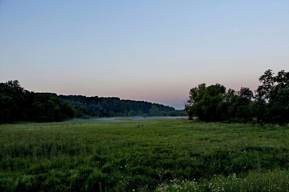 Рассвет над лугом