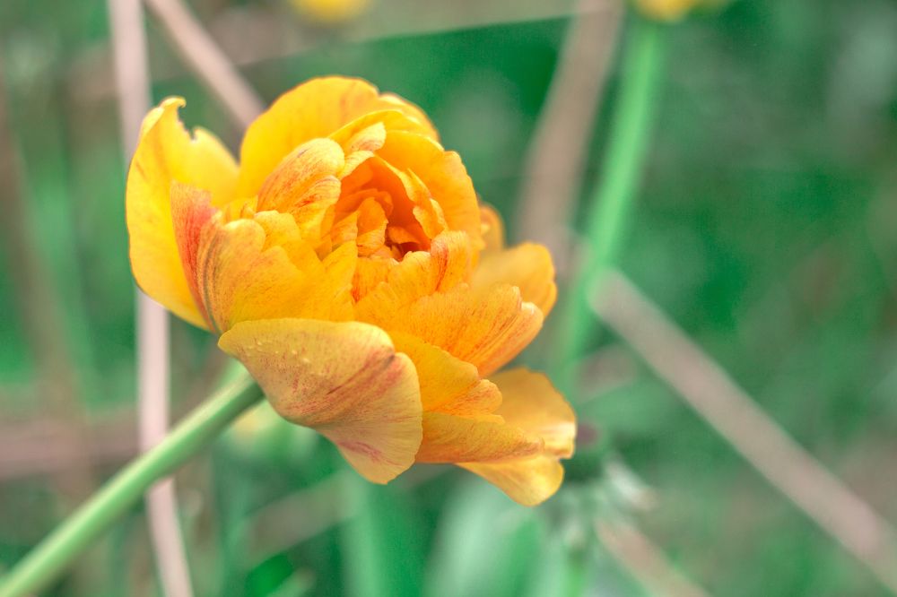 Photograph by Виктория Зайкова