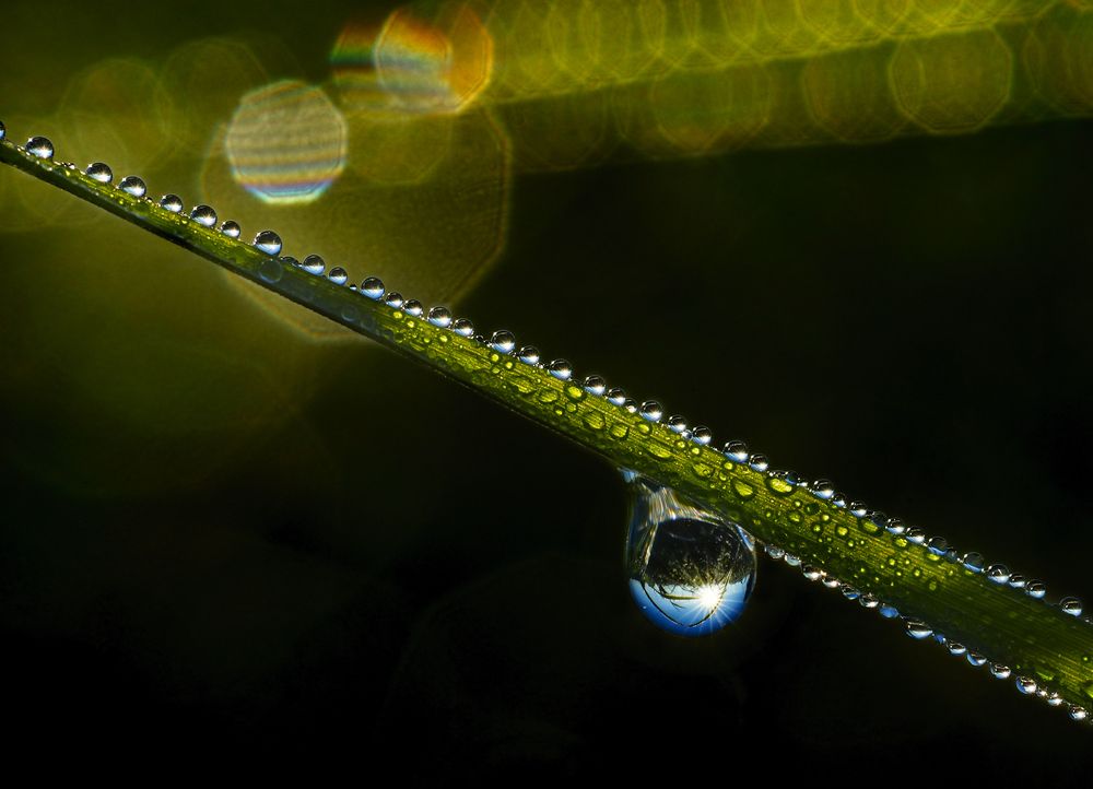 Волшебное превращение