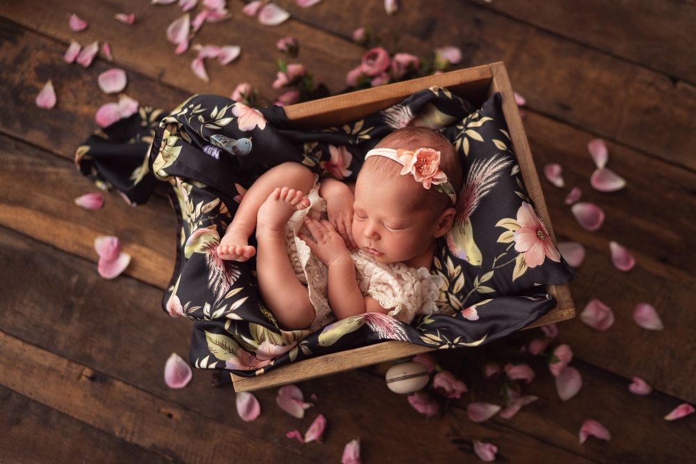 Photograph by Tara Bergmane