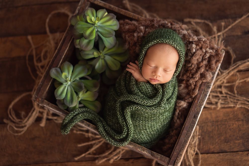 Photograph by Tara Bergmane