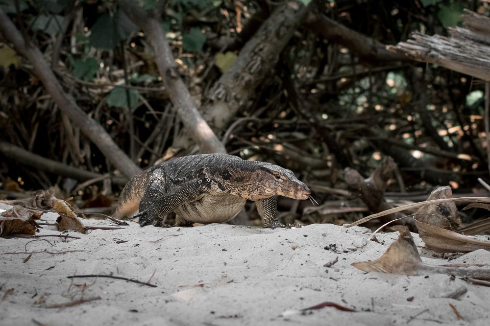 Photograph by Валерия Бунина