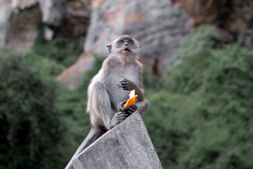 Photograph by Валерия Бунина