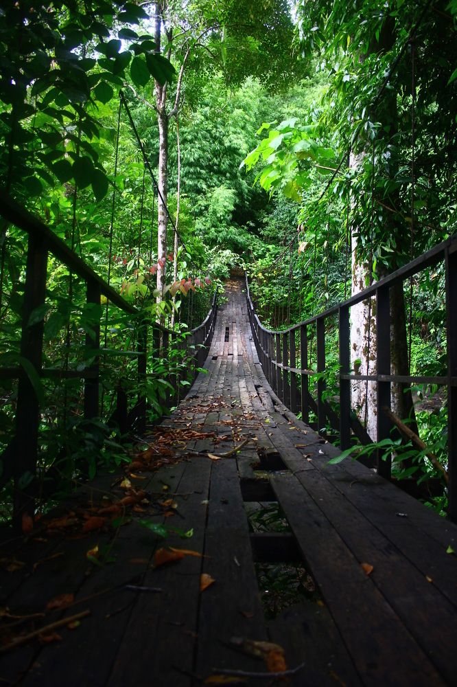 тайными тропами