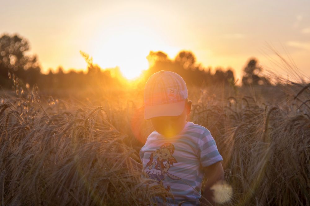 В лучах заката