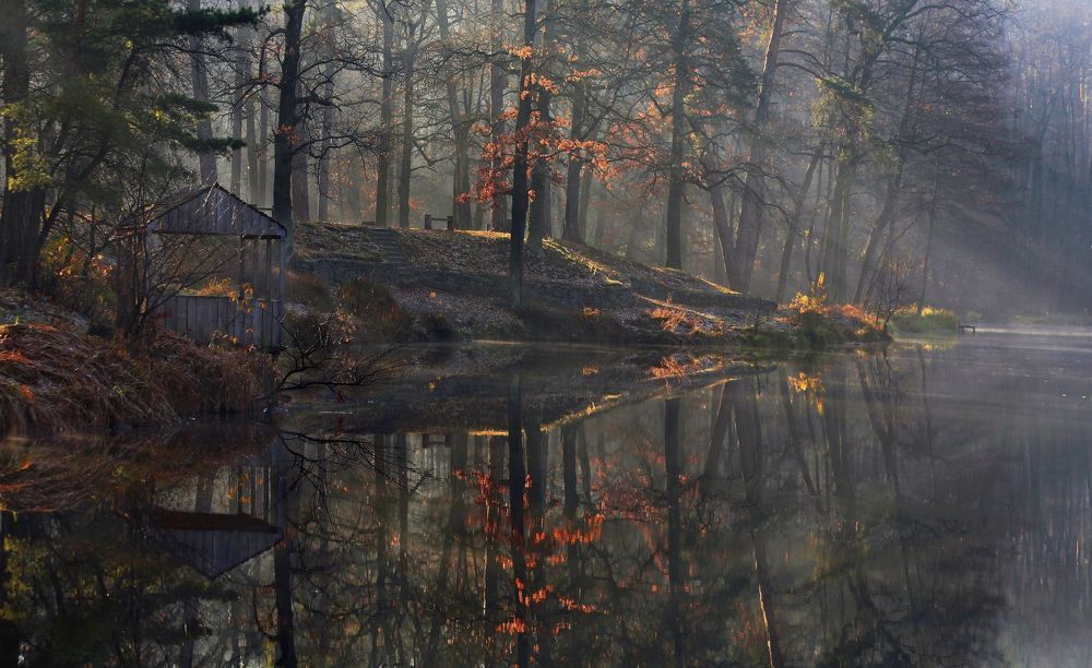 Осенний парк