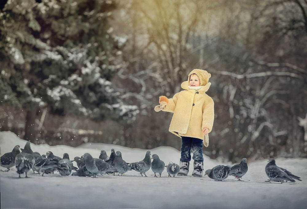 Зимний обед