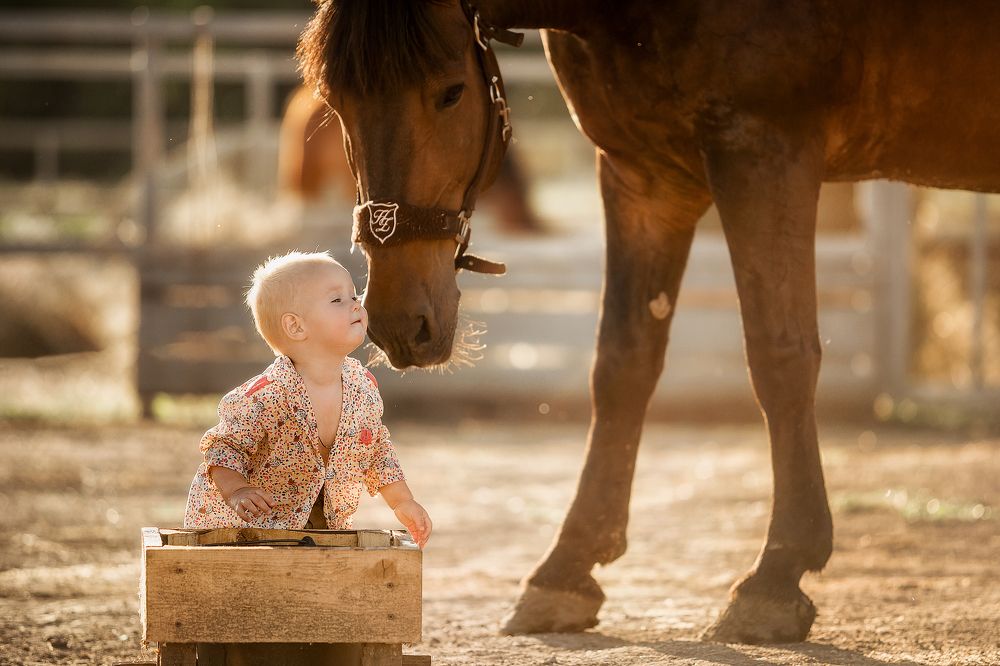 Мы с тобой братья!
