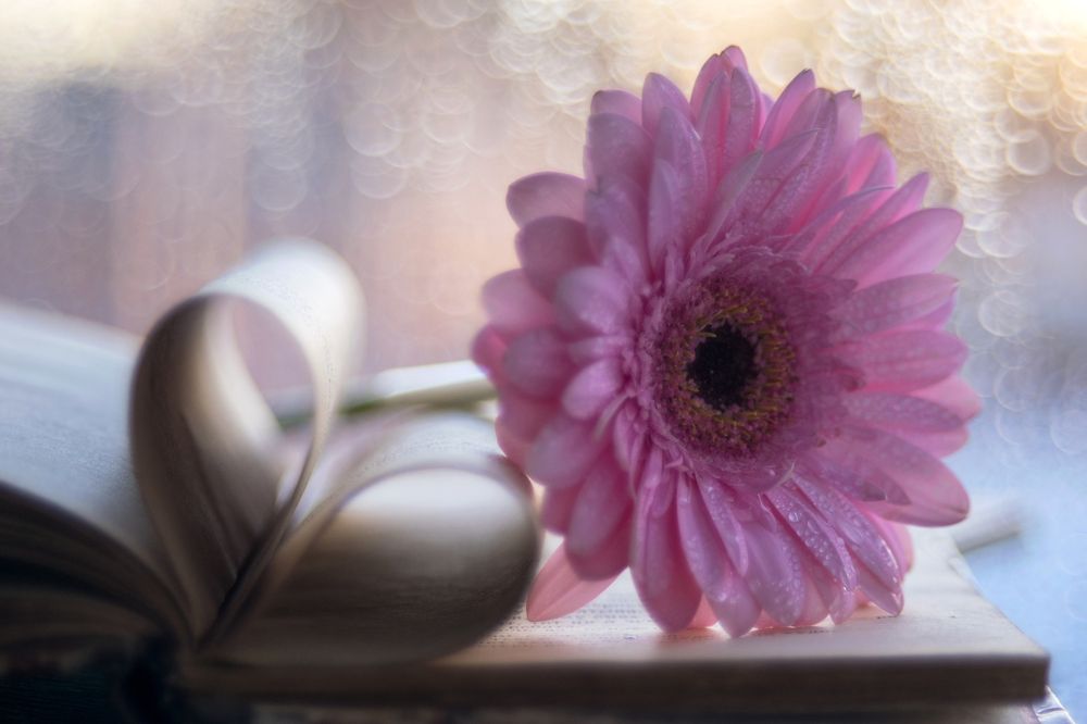 По страницам любви...