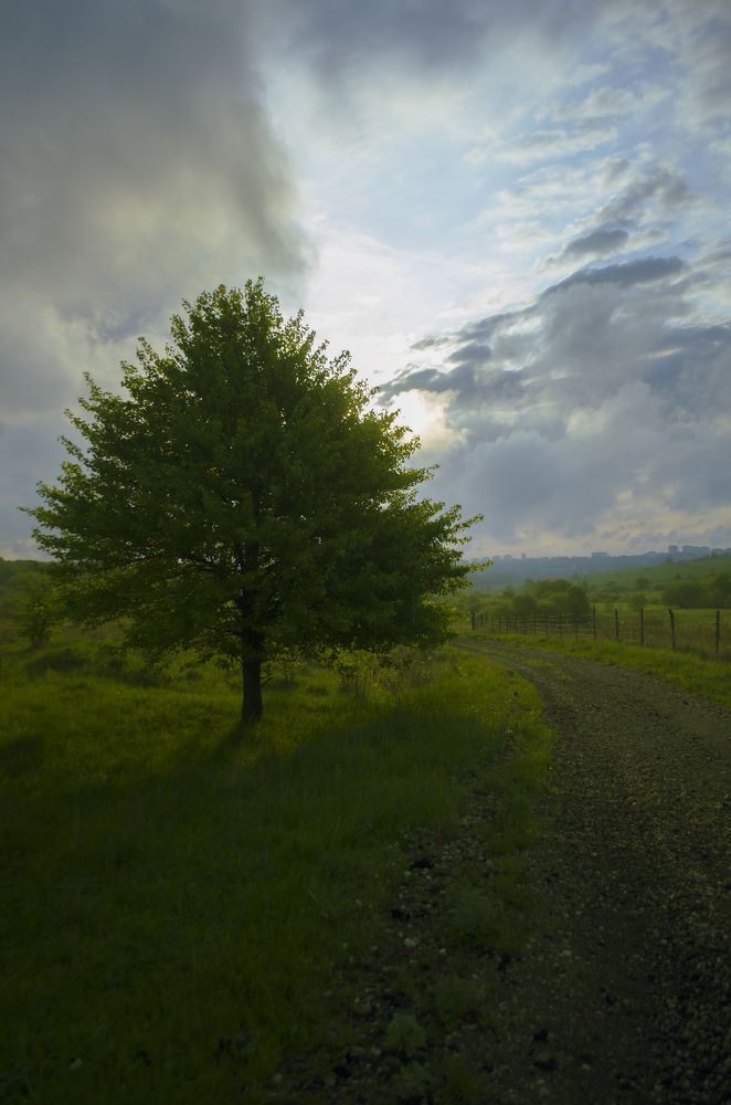 Утро в Иншинке