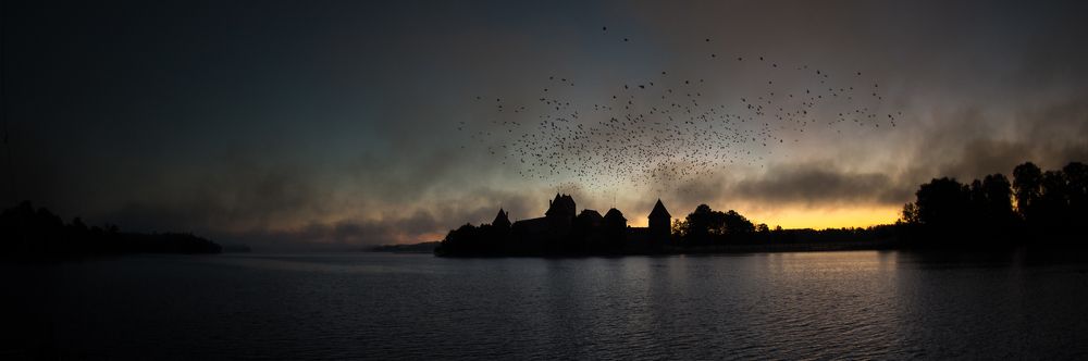 ...12 brothers have turned black crows...