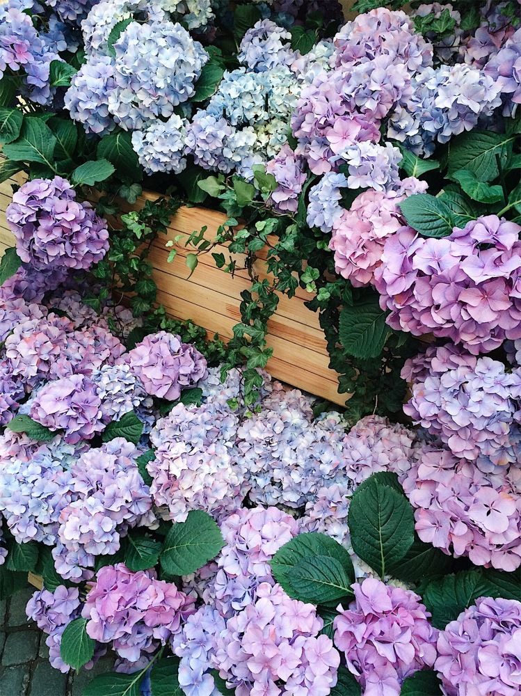 Spring in air