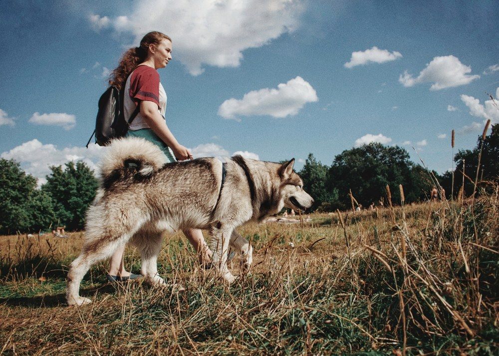 Photograph by Екатерина Шкитина