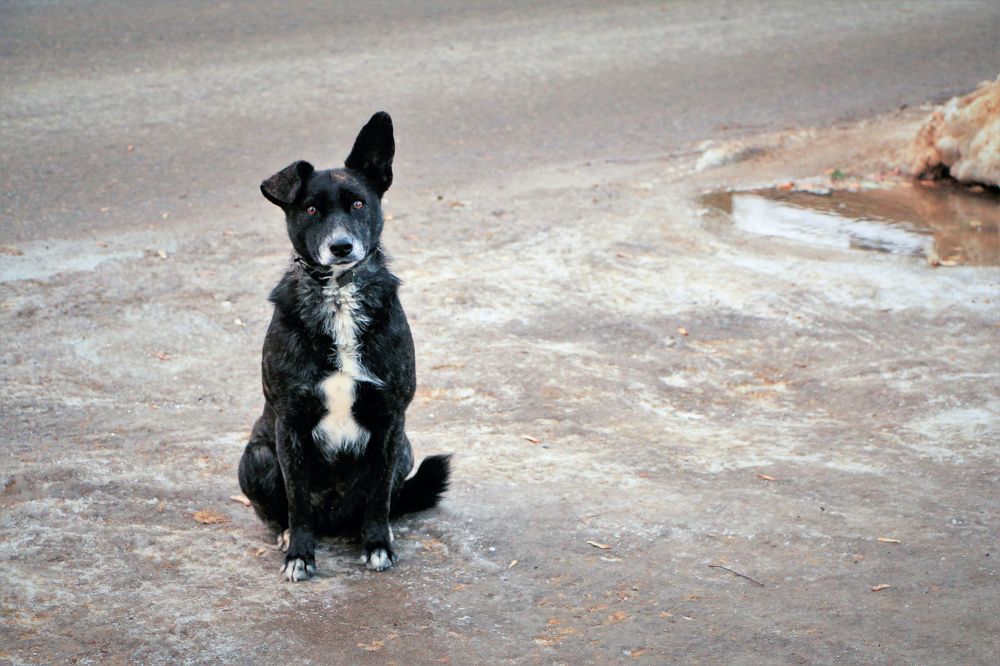 Photograph by Marina