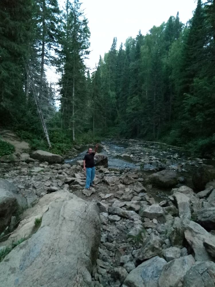 Лес