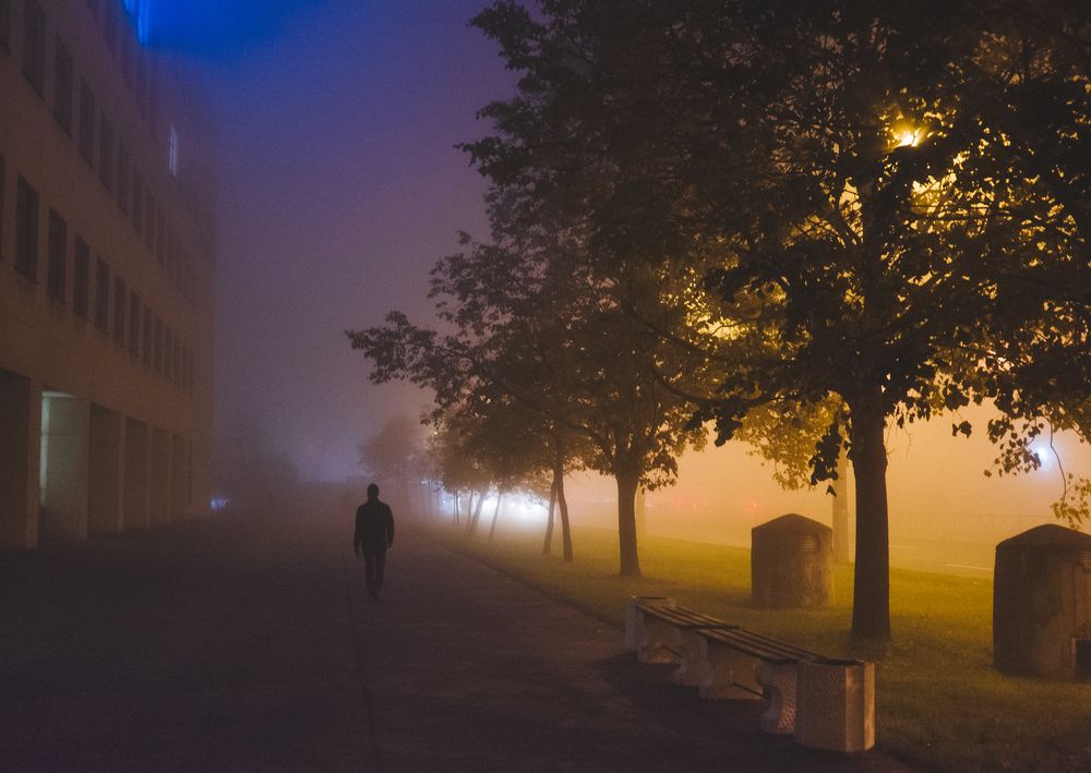 Ноябрь в Питере