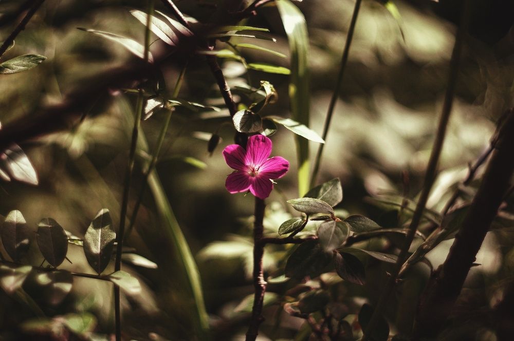 Photograph by Мария