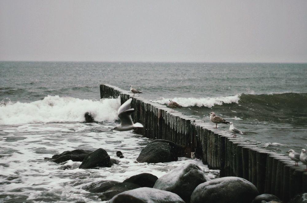 Photograph by Мария