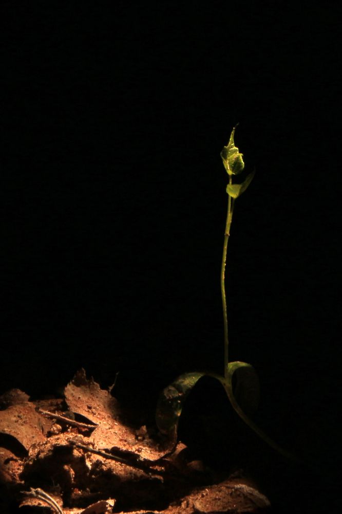 Photograph by Marina