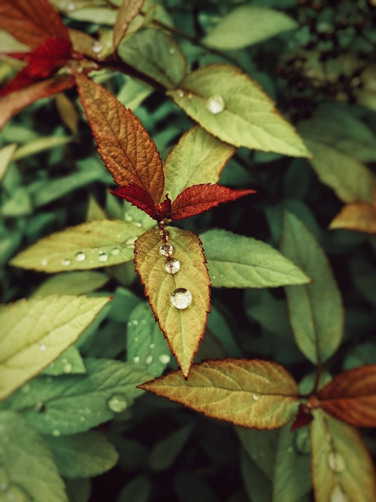 Photograph by Мария