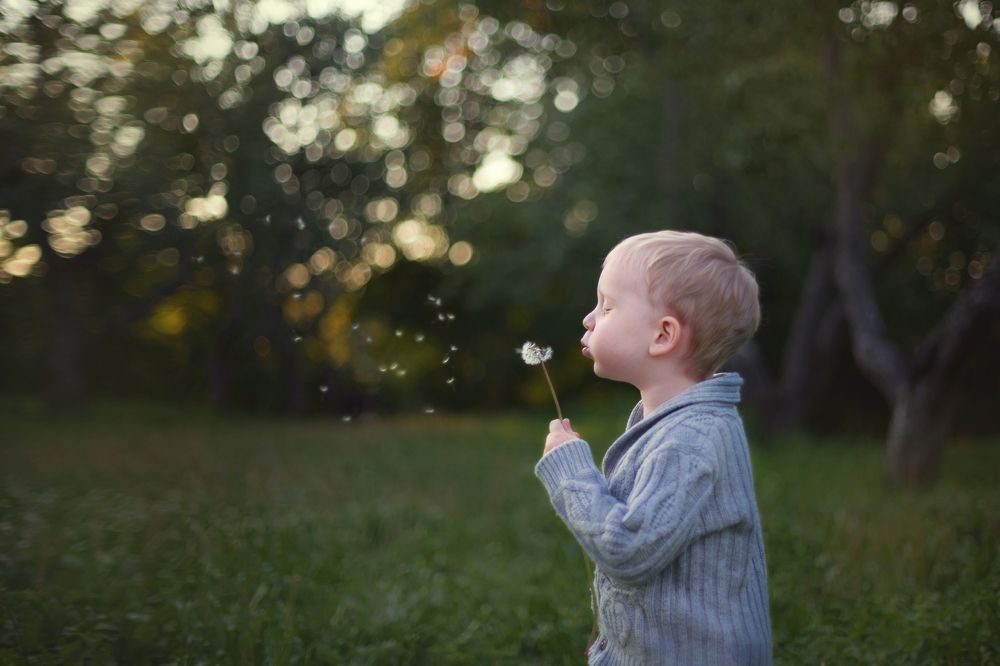 Photograph by Марго Лимп