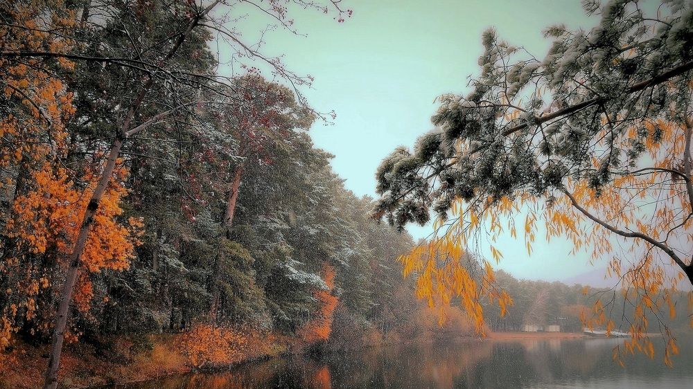 Боровое.  Осень