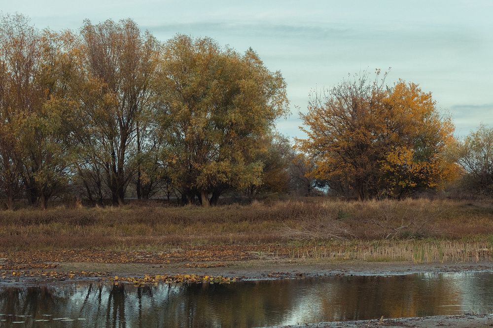 Ерик Кафтанчик