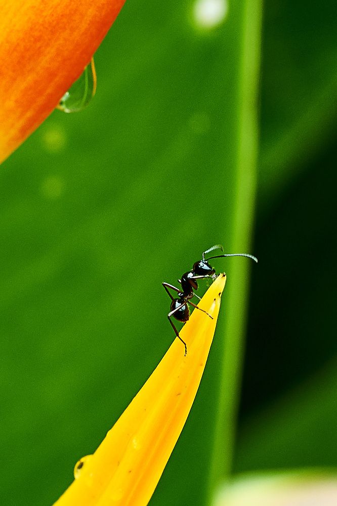 Photograph by Владимир Малевич