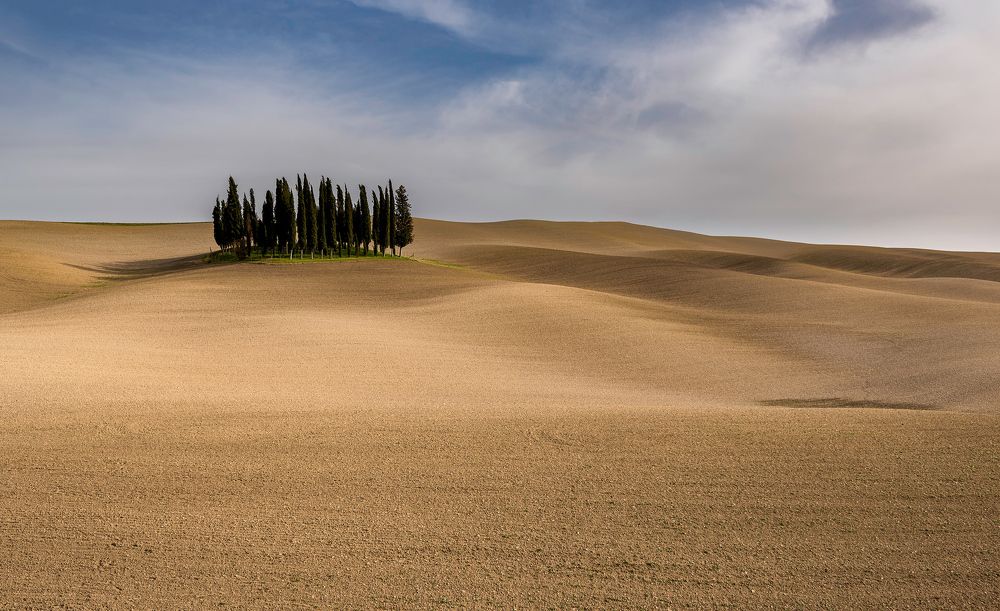Island of cypresses