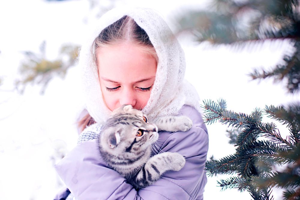 котенька-коток