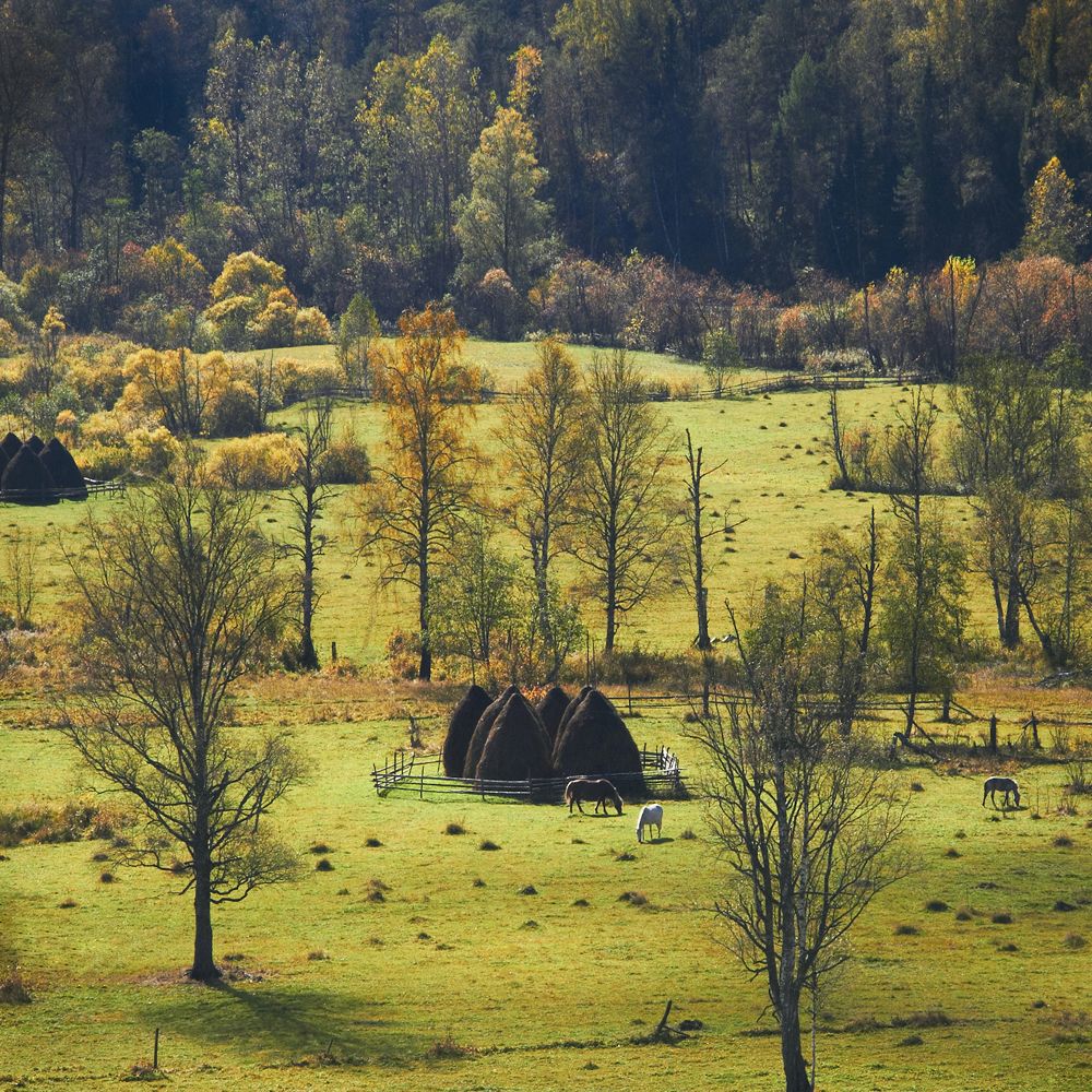 Photograph by Вилкова Наталья