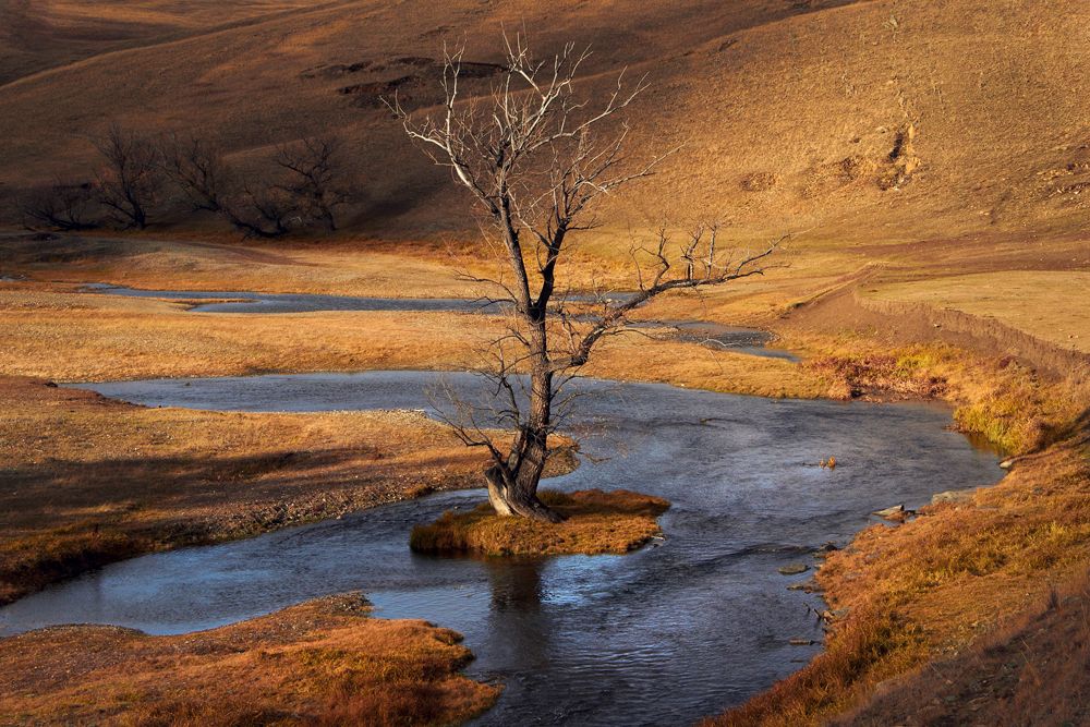 Photograph by Вилкова Наталья