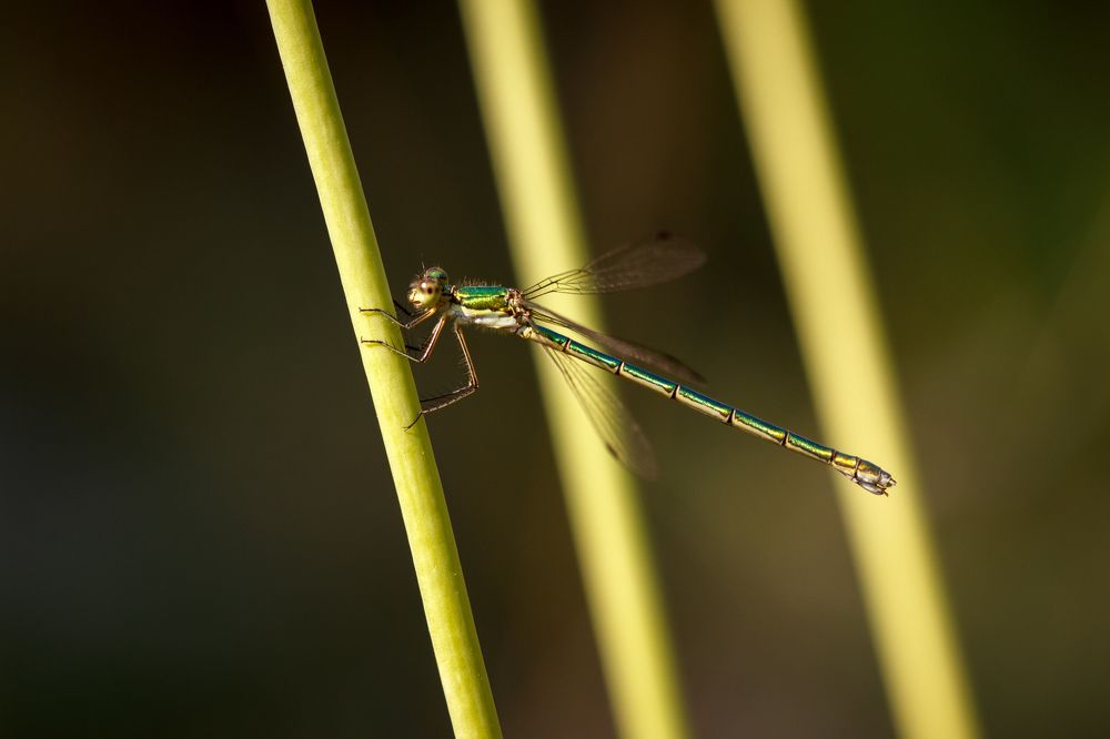 Взлетные полосы