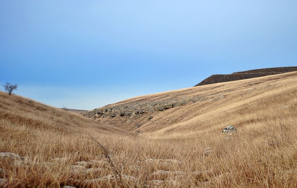 Photograph by Александр Колтухов