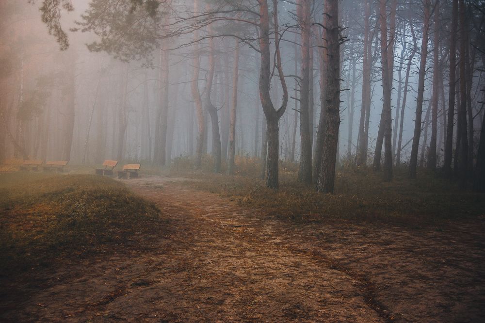 Утрений парк.