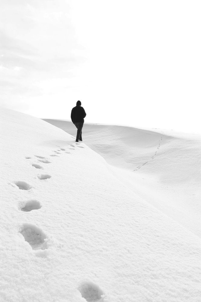 Фотография автора payman Mollaie