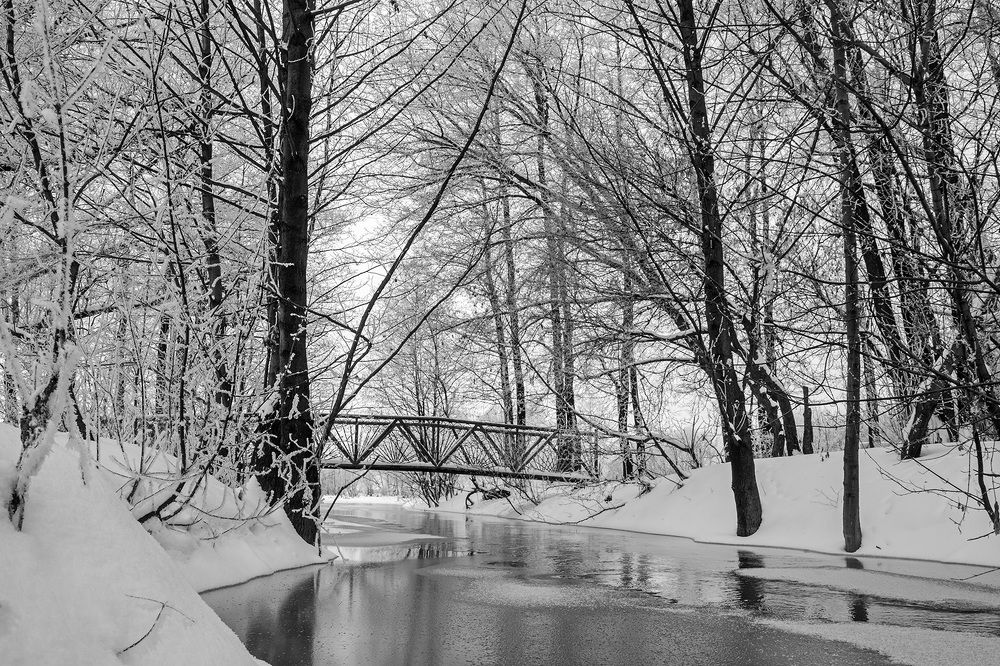 Черно-белая зима