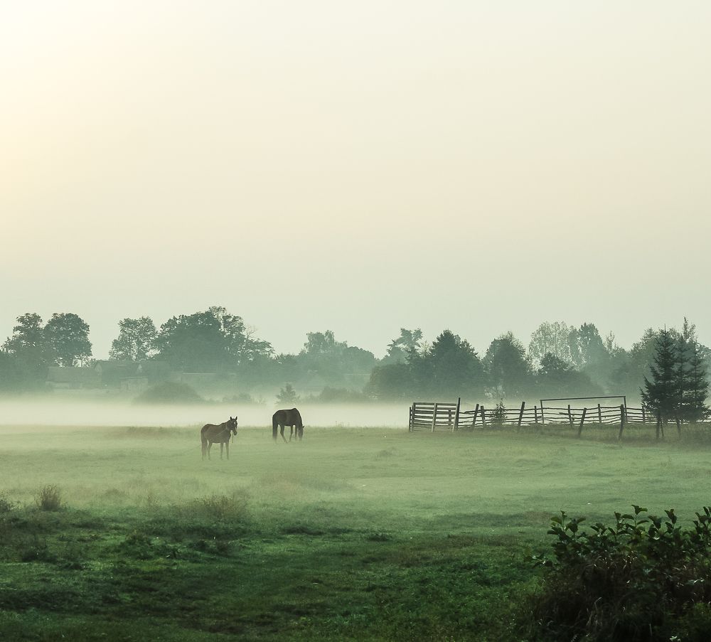 Утро вдали от цивилизации.