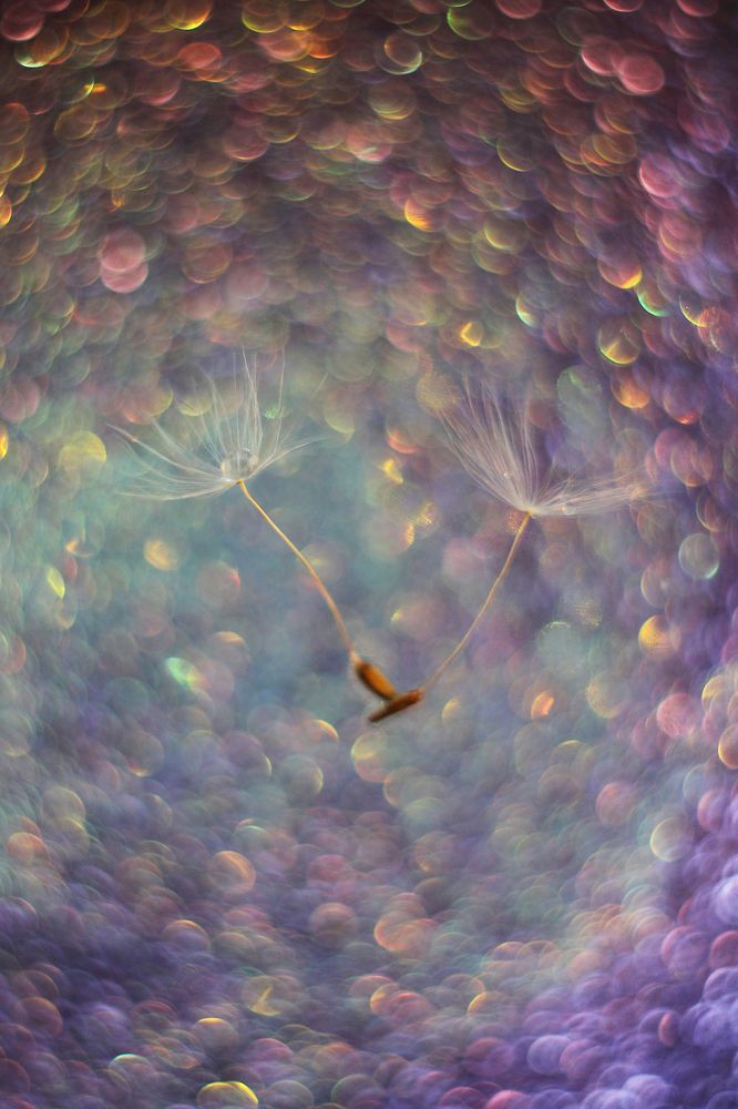 Космические парашютики