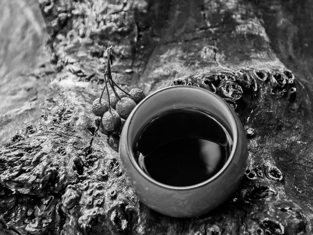 Photograph by Денис Бутин