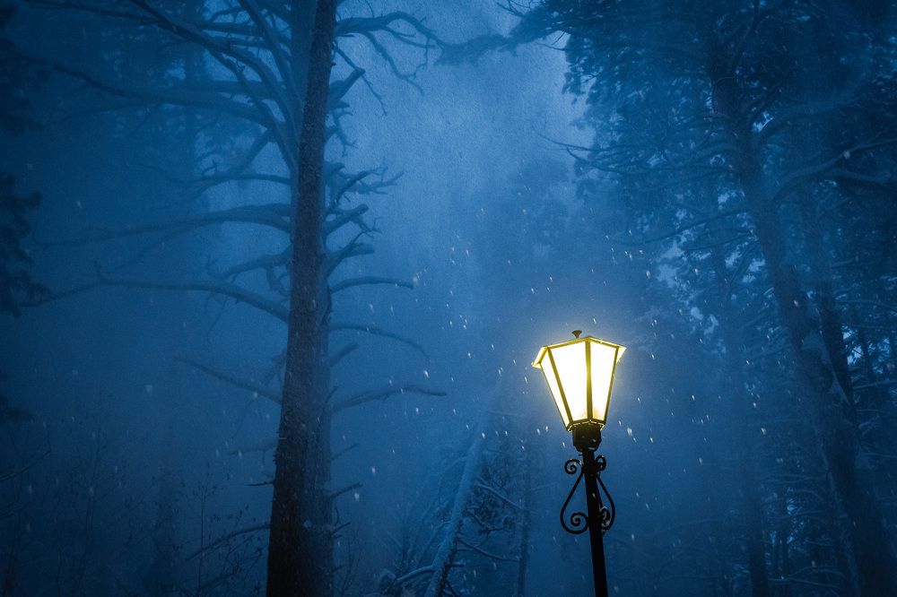 Из зимней сказки