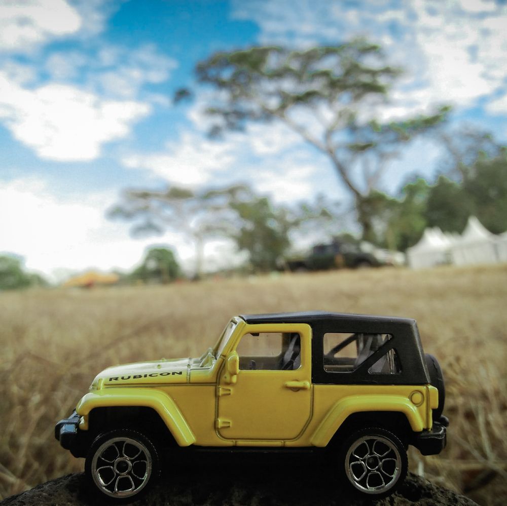 My toys in littel africa van java