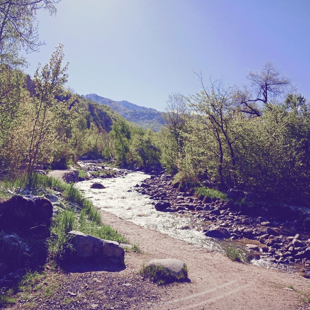 Photo #3041904