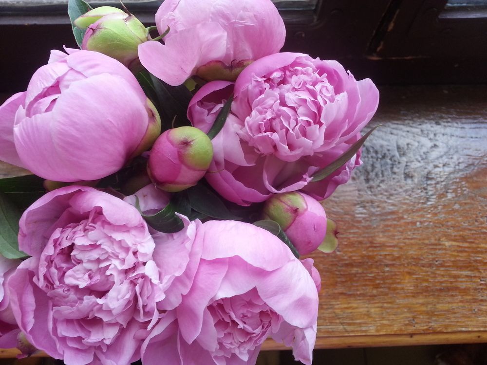 Весна в сердце